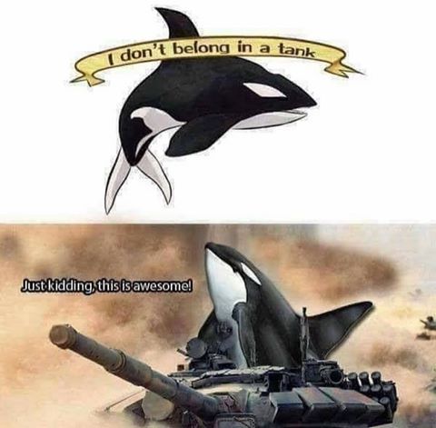 welcome to sea world mother f*ckers