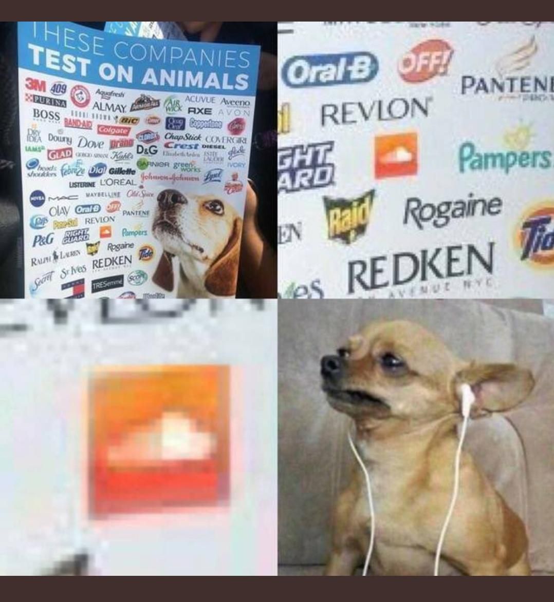 these companies test on animal's