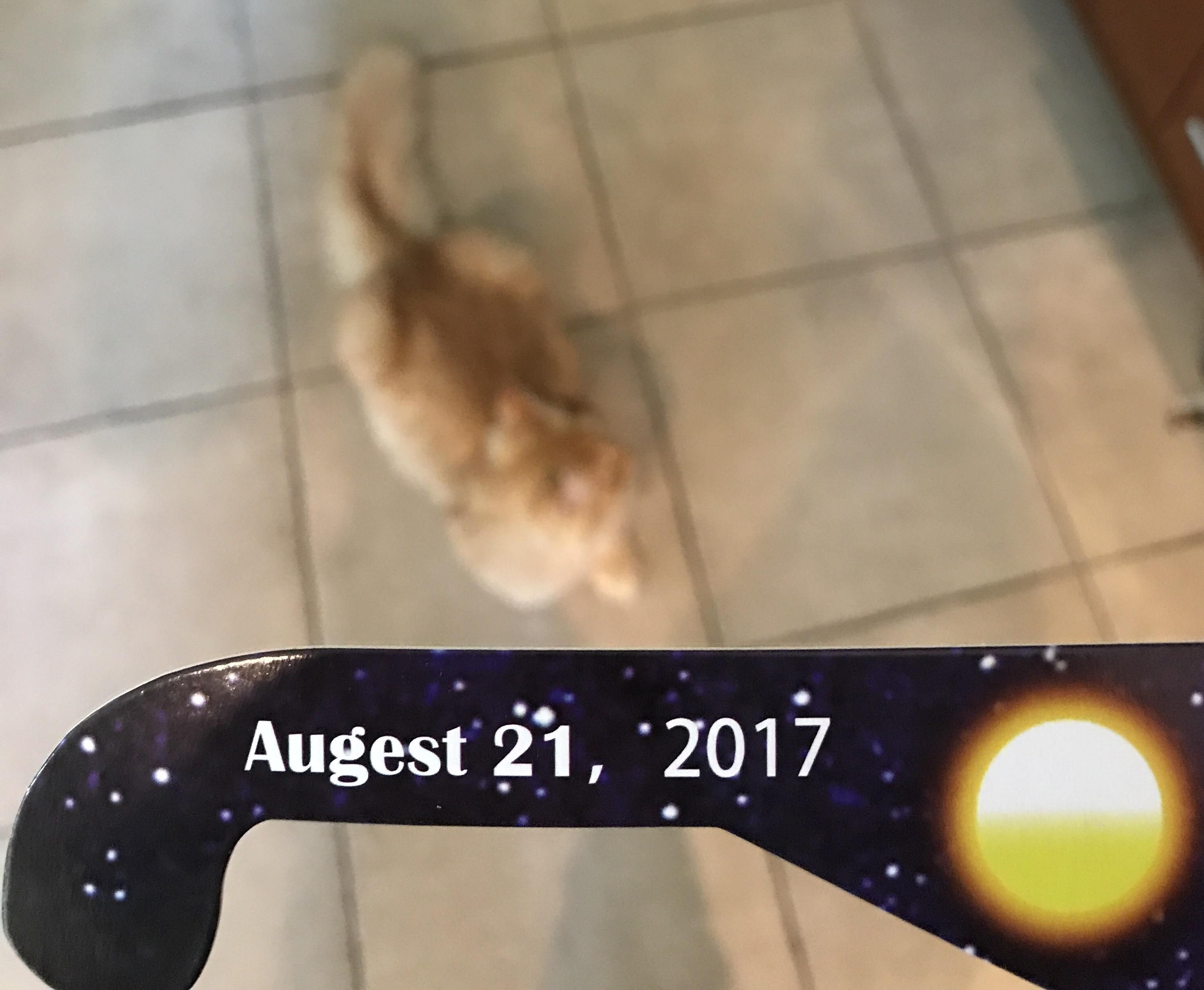 Feeling really confident about my eclipse glasses