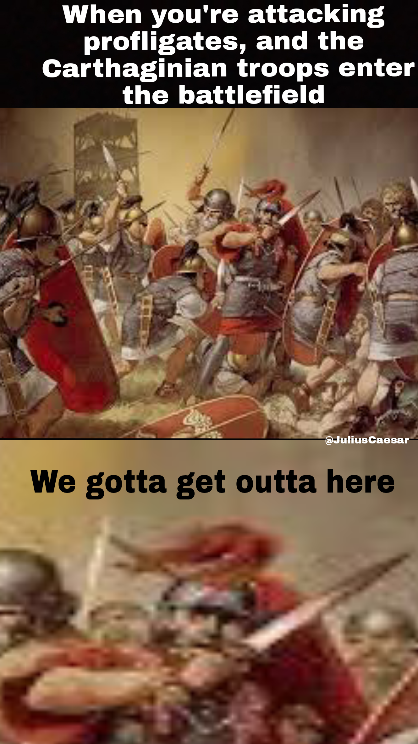 Punic wars