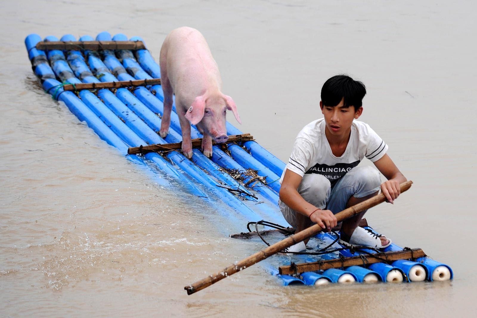 Life of Pi: Chinese Edition