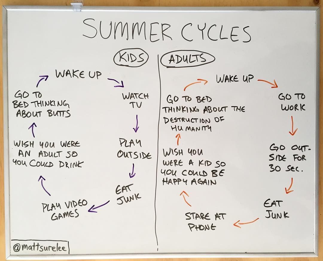 Summer day cycles