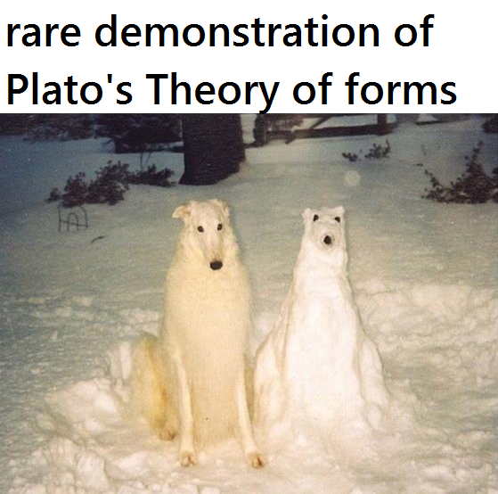 [t h e i d e a l f o r m o f d o g g o ]