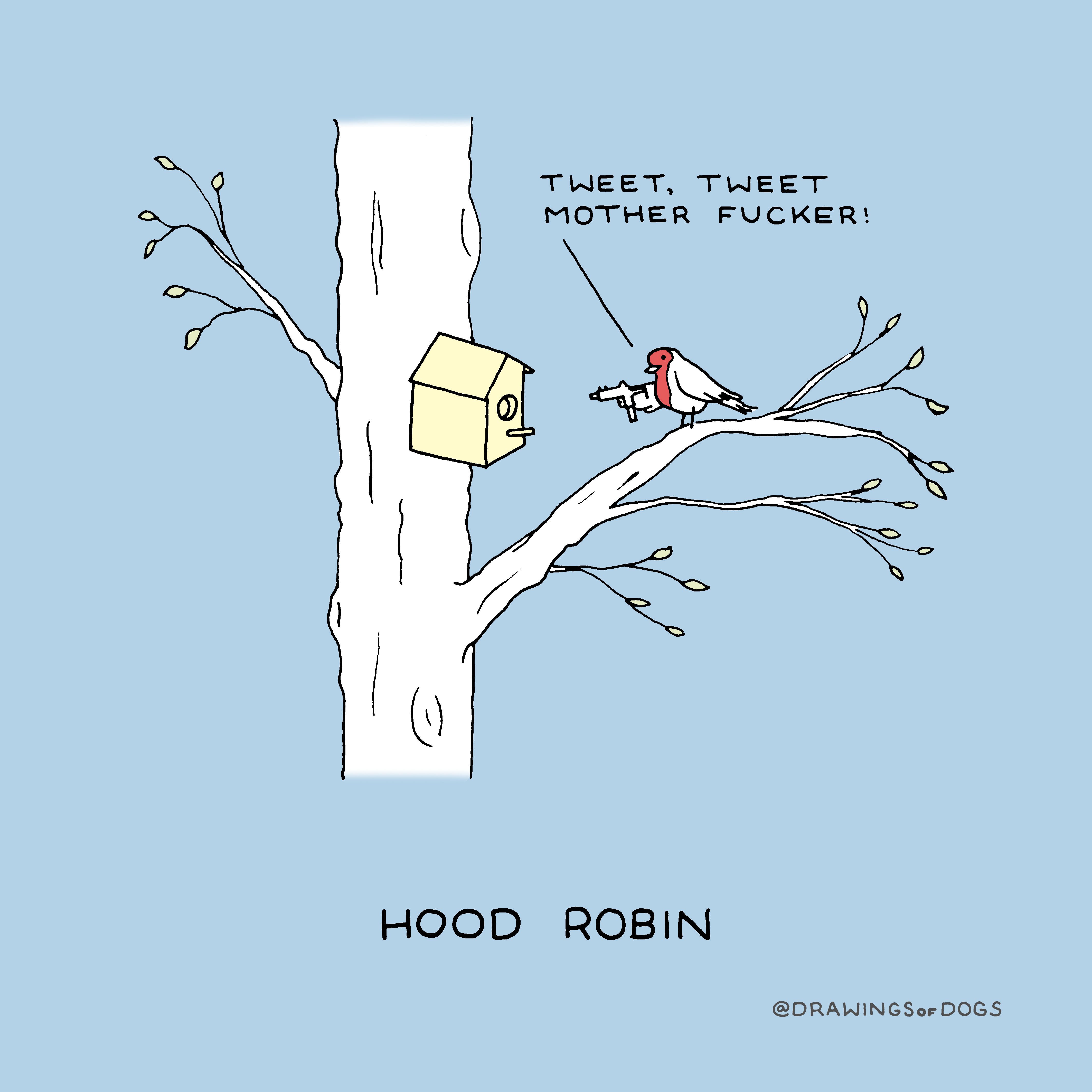 Robins are surprisingly aggressive
