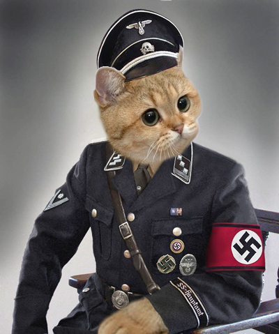 Nazi cat is nazi