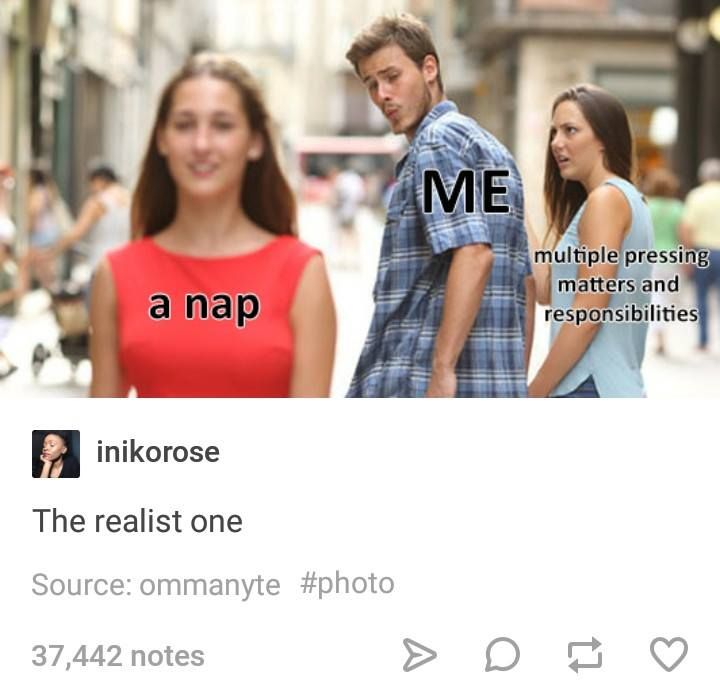 I should be writing my thesis right now