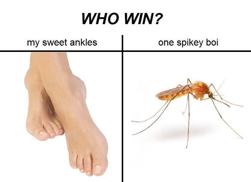 c l e n k