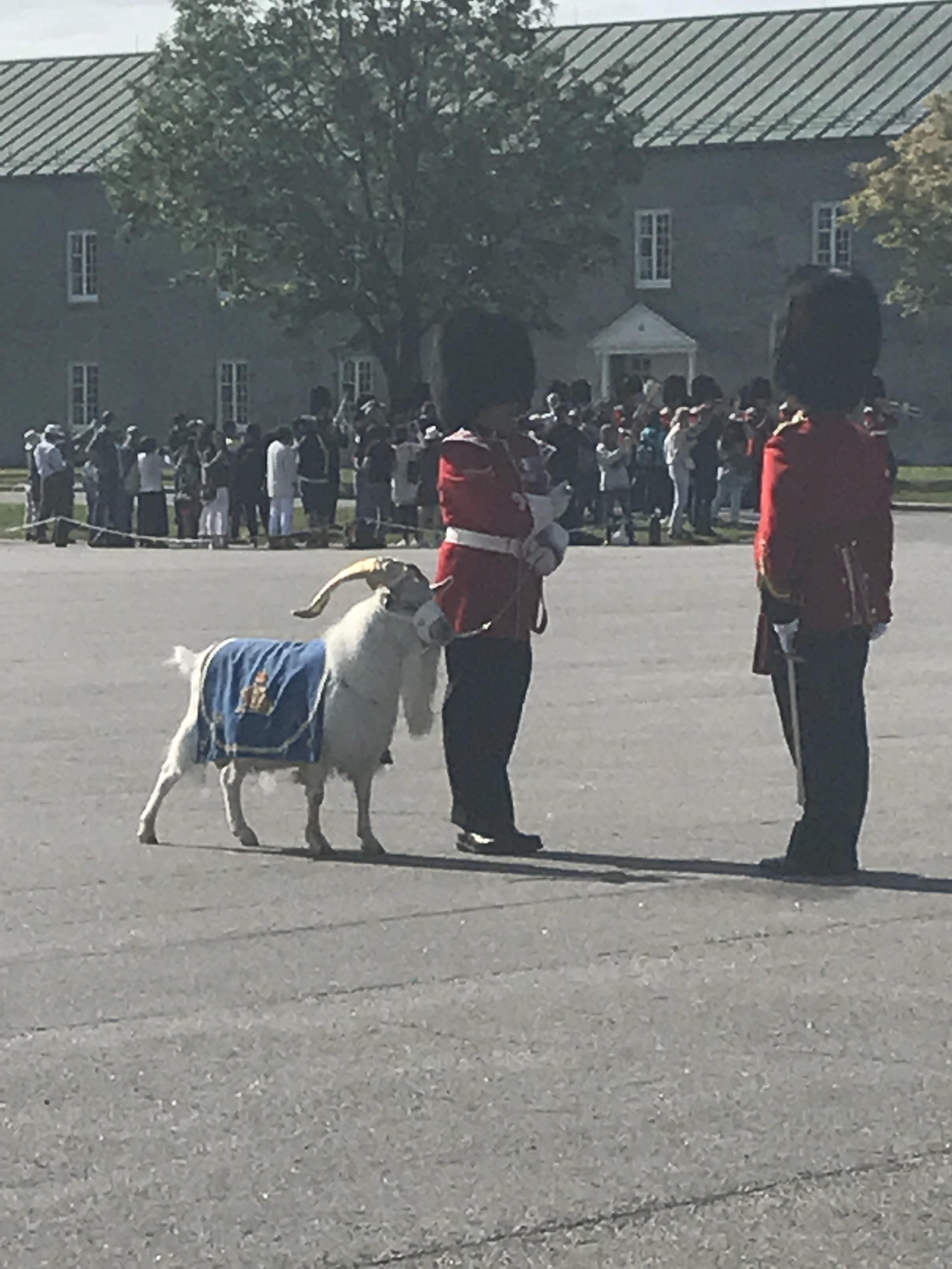 I am at the citadel in Quebec City Canada for the changing of the guard ceremony. Our military owns a goat that goes on parade with them everyone morning. This makes me feel more Canadian than ever.