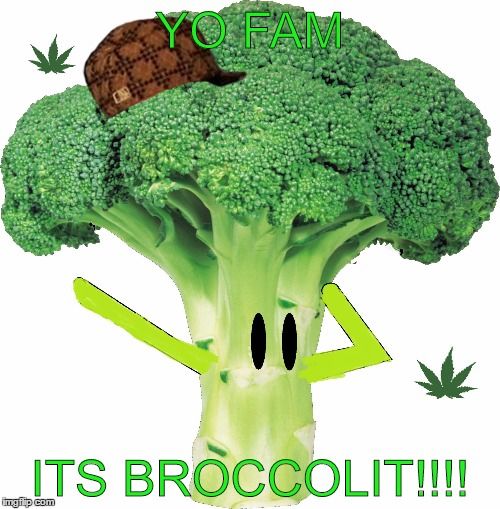 lit fam