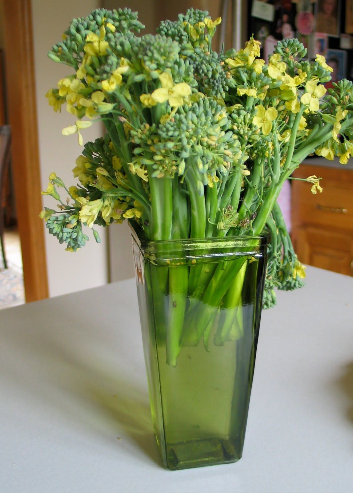 Don't just eat broccoli, they make beautiful flowers