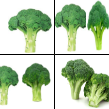 Loss