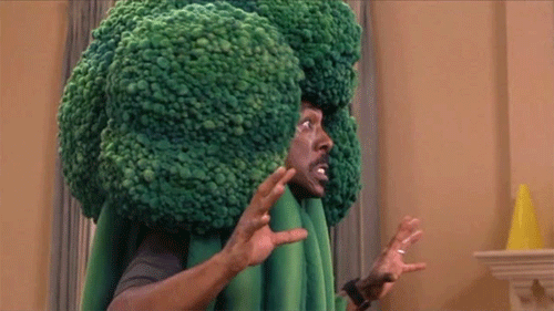 When you open Hugelol