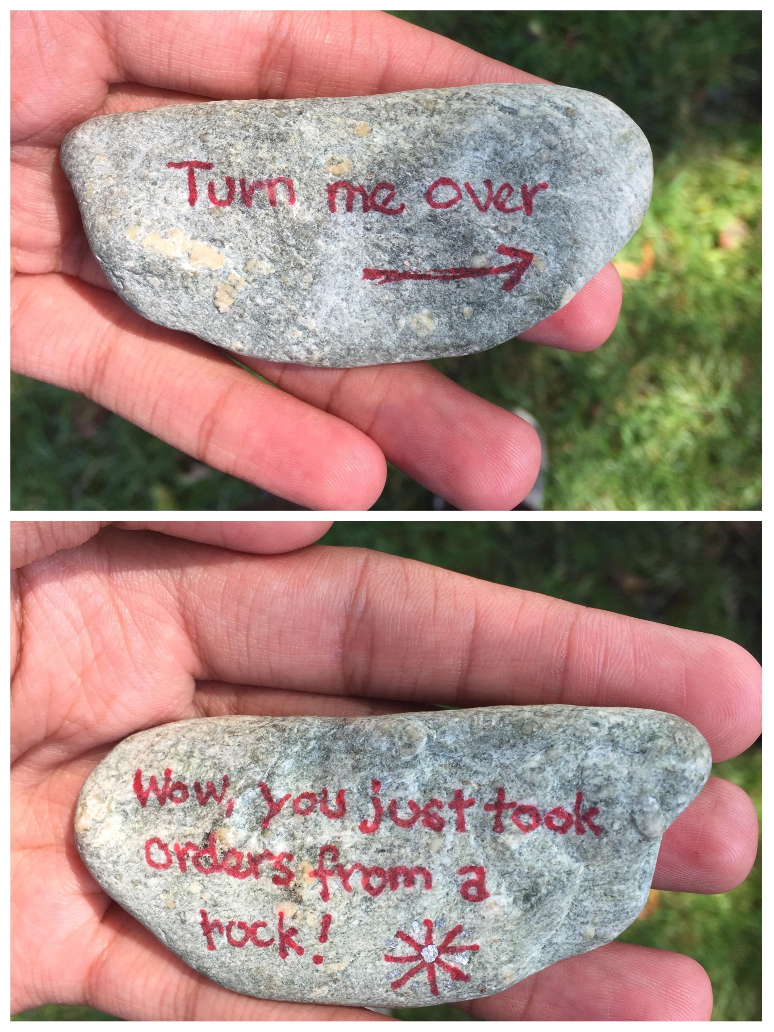 Found this unusual rock on vacation