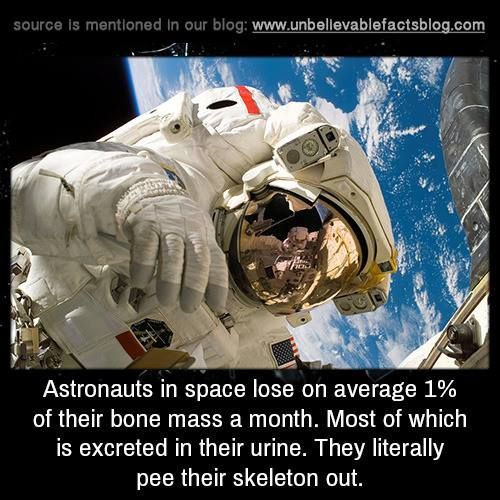 astronauts are prepairing for the skeleton war