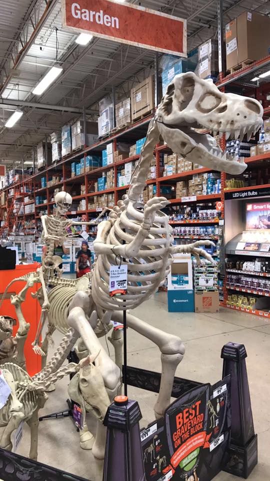 Moments before some skeleton memer conquers the internet