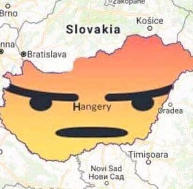 When you tell a Hungarian a hungry joke