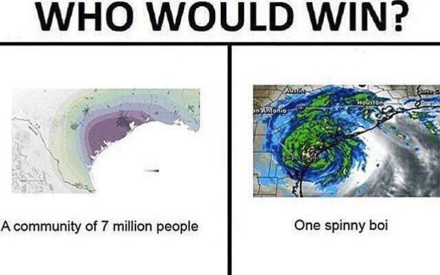Spin spin spin
