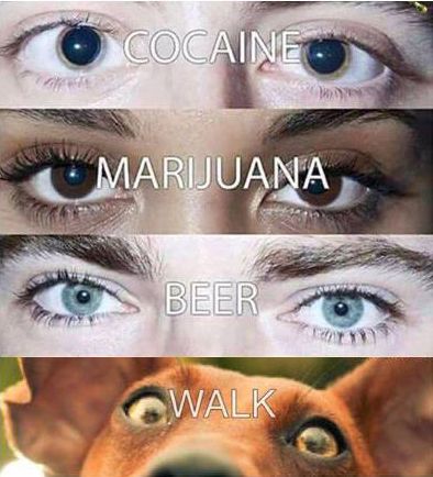 Effects of different drugs on the eyes.