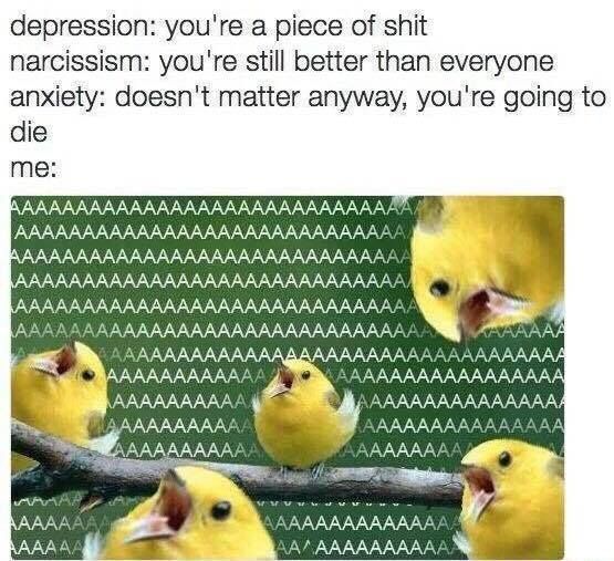 That's why I'm here