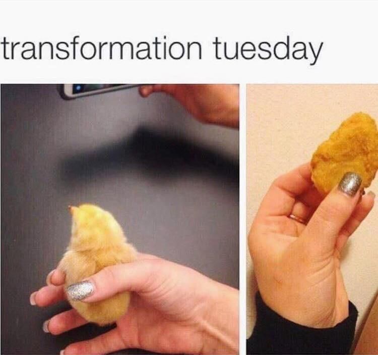 Apparently this wasn't the transformation they were looking for in my weight loss group