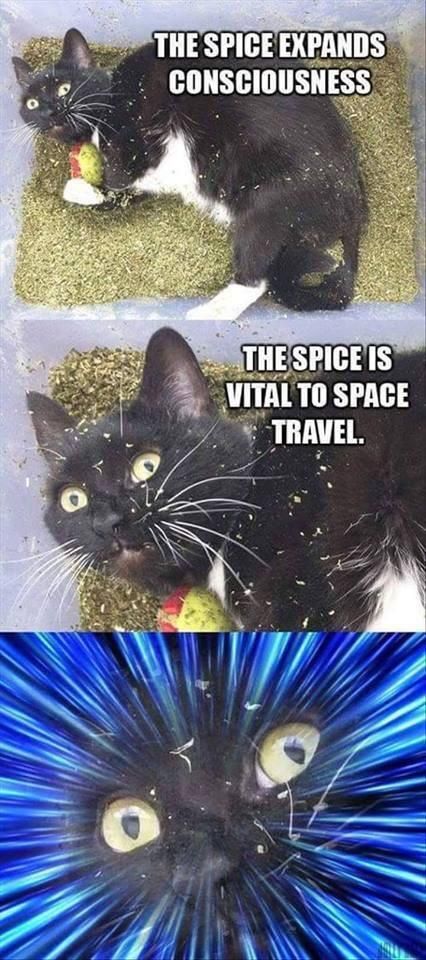 The spice is life!