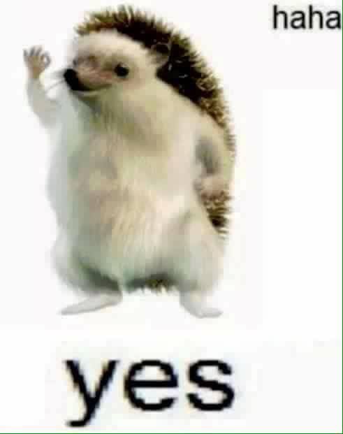 i figured, since all users are one, i might as well post all memes on this account