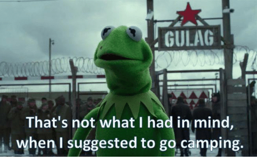 Kermit's as green as the herb he smoked