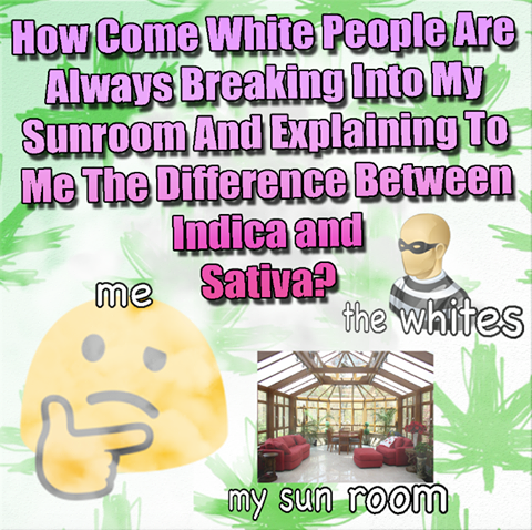 Y tho?