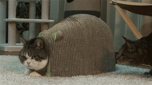 "At last, my fort is impenetra... - I've made a huge mistake!"