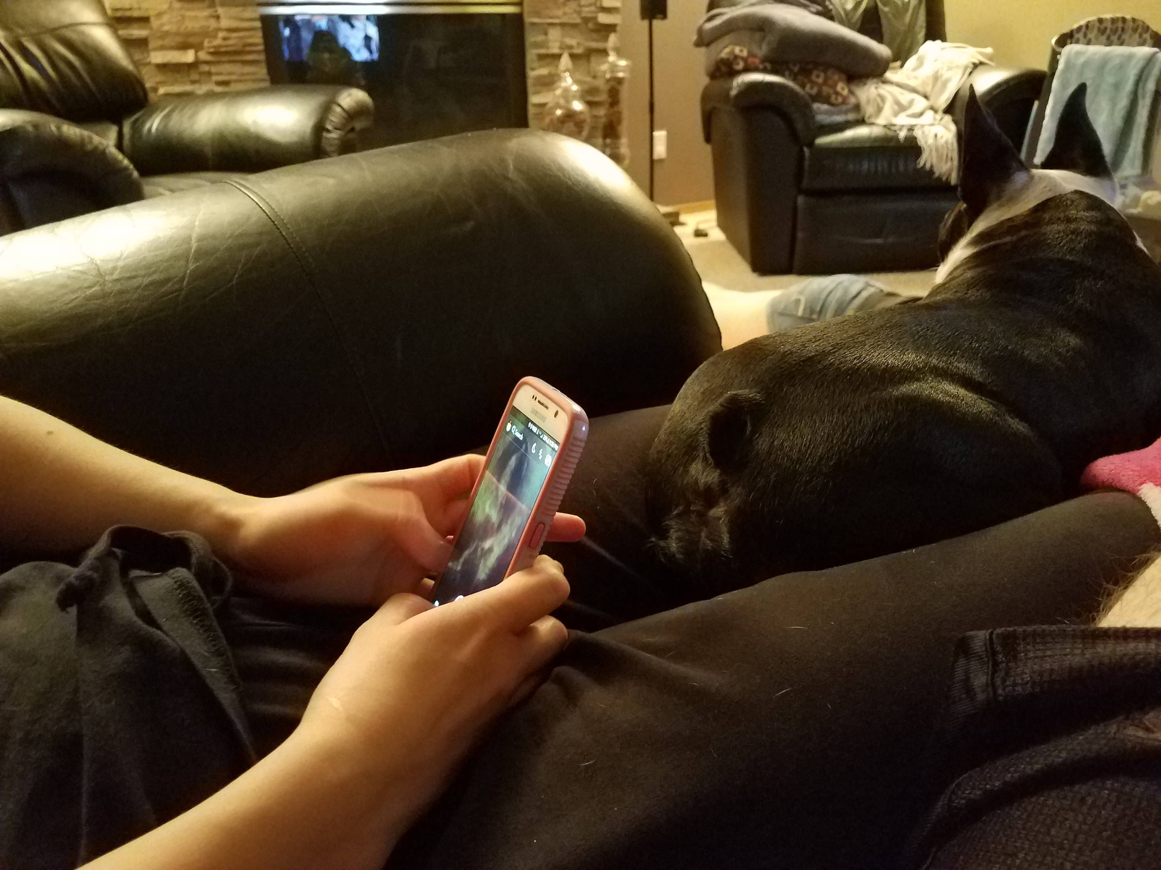 I caught my fiancée taking a picture of our dog's butthole