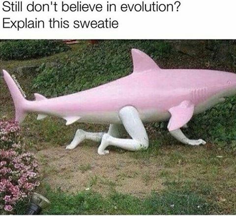 explain