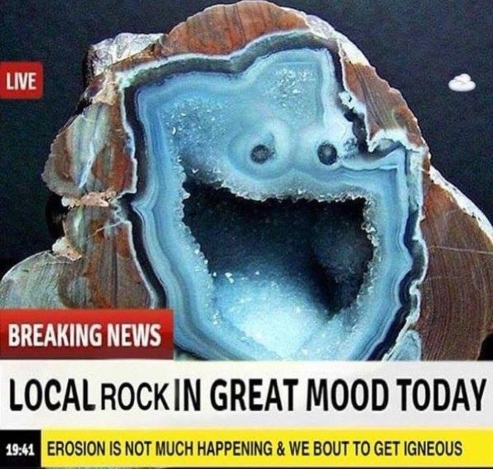 wholesome content