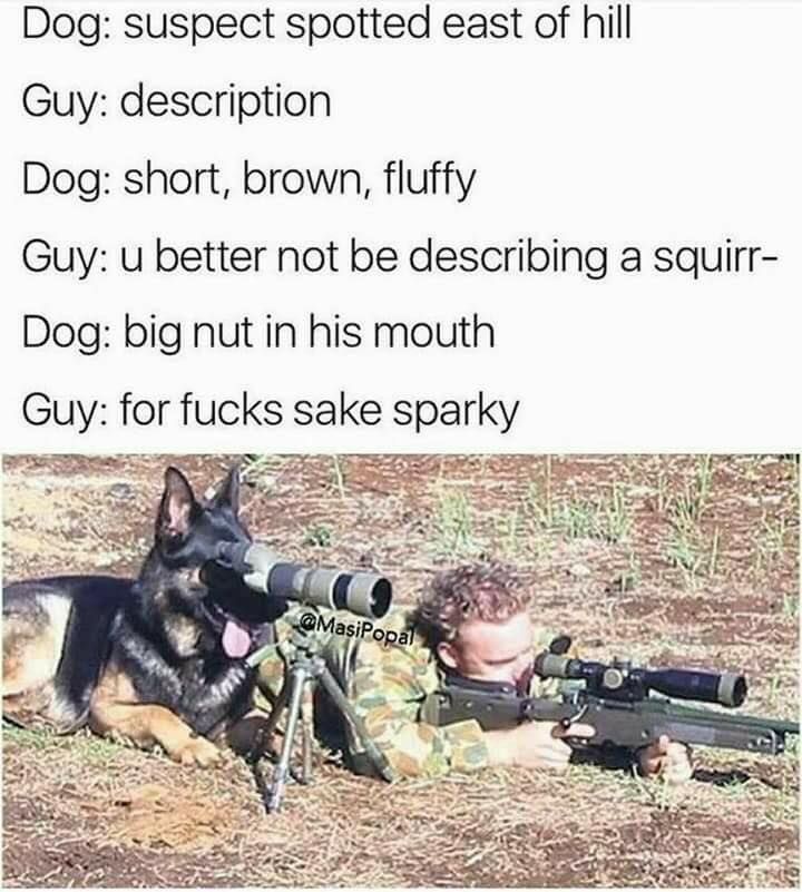 maybe he's just gay?