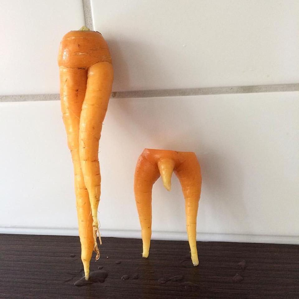 Harvested some carrots