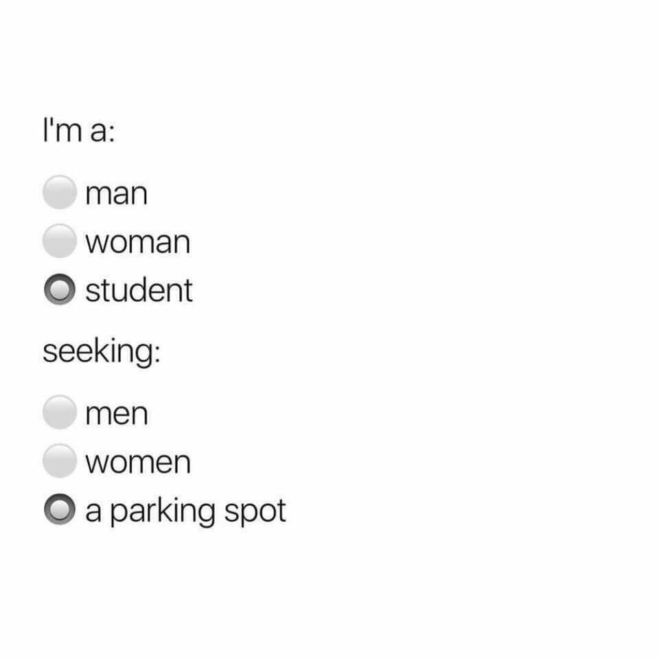 I sexually identify as a student.