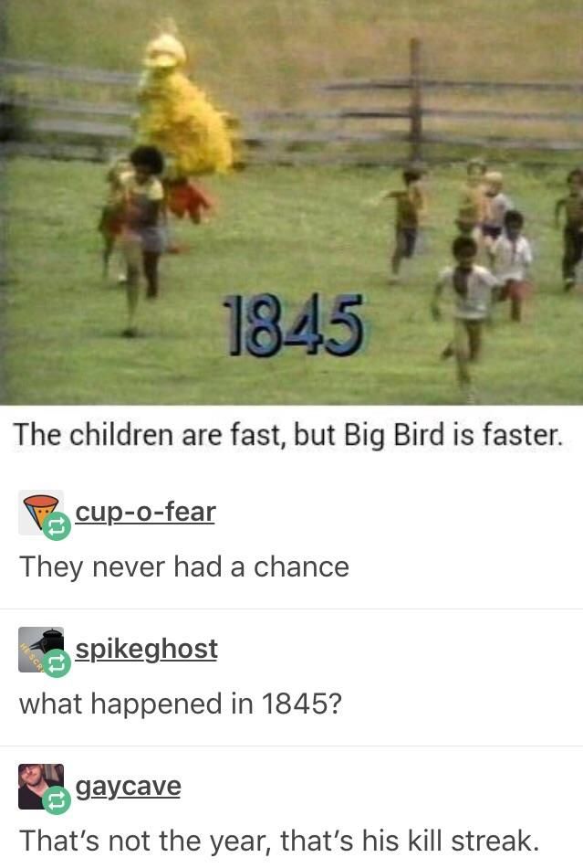 Big bird goes to town