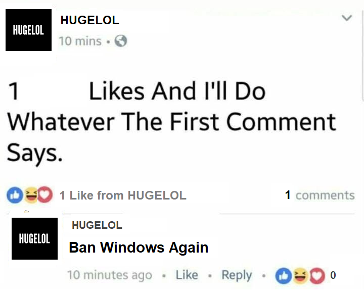 Windows is the Key to our Memes