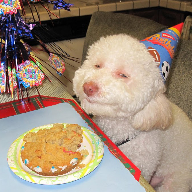 Ohh,you shouldn't have...
