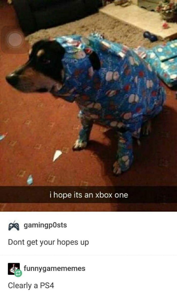 wholesome meme