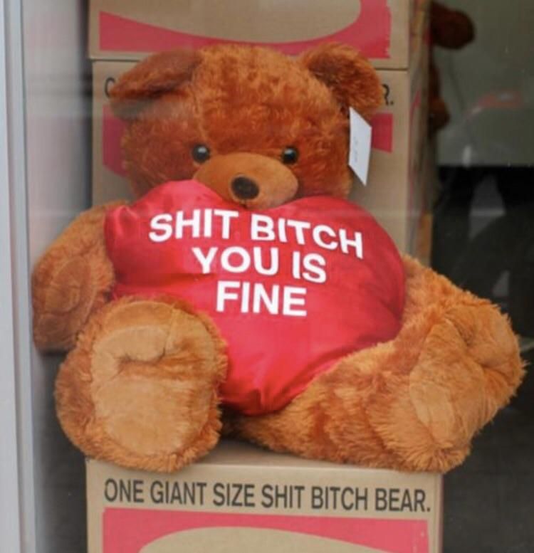 ONE GIANT SIZE SHIT *** BEAR.