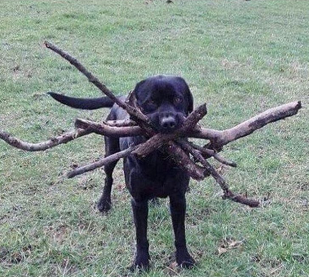 Uhh my name is Clive and I'm addicted to sticks
