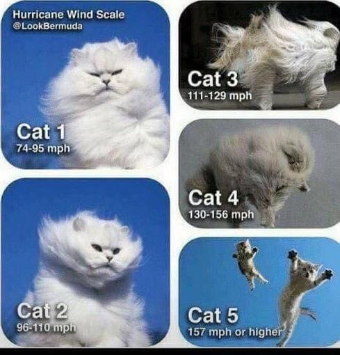 Hurricane Wind Speed Guide