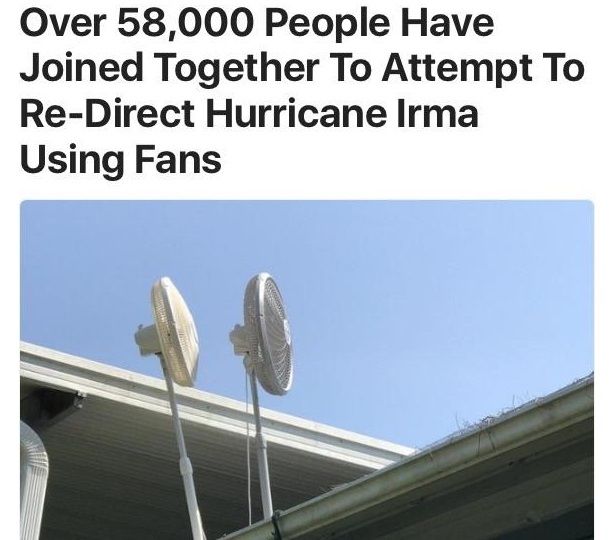im a big fan