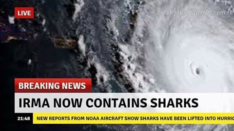 whoa nelly