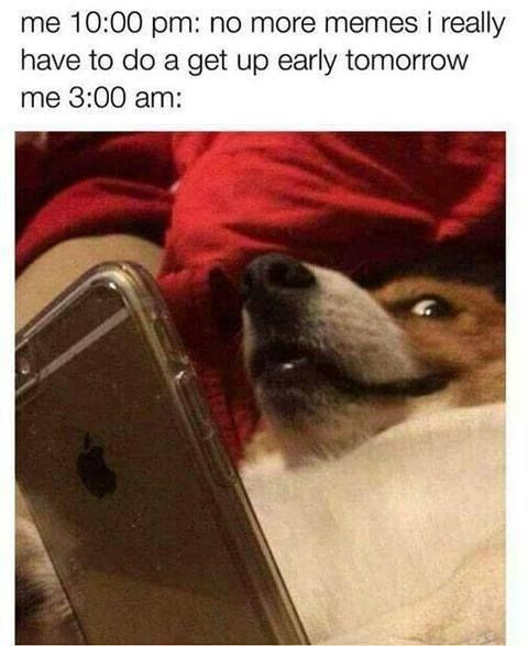 Litterally me this week