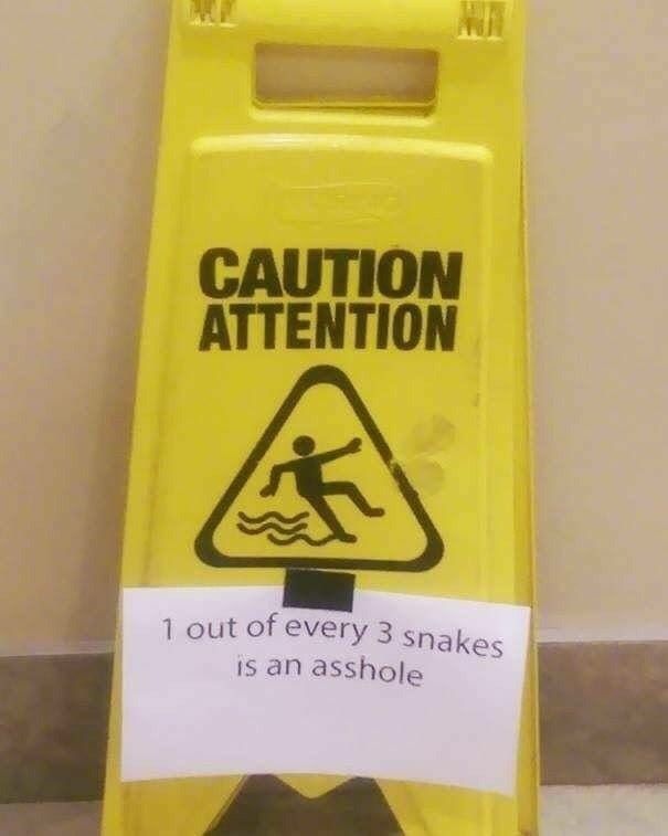 Snake awareness