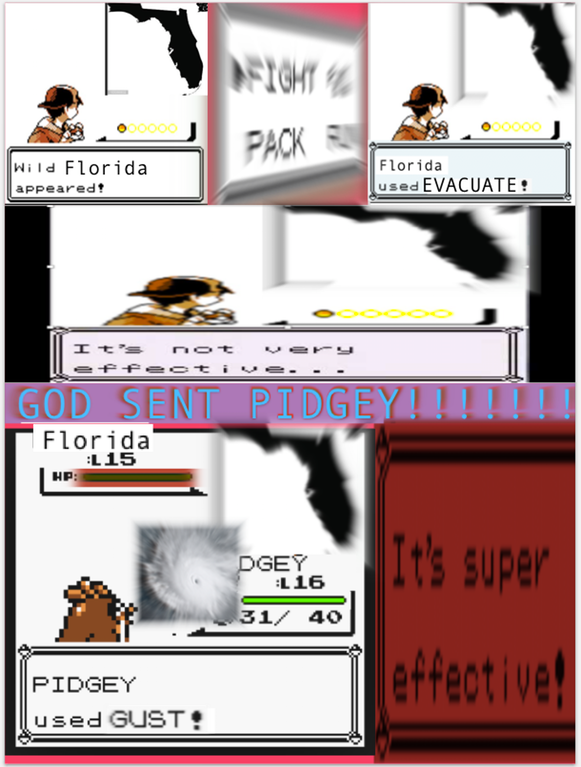 P O K E M O N