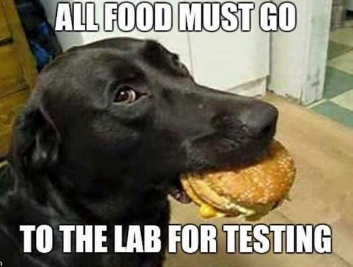 All Food Must Be Tested