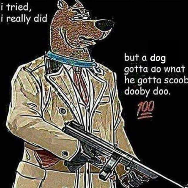 I have to scooby do it