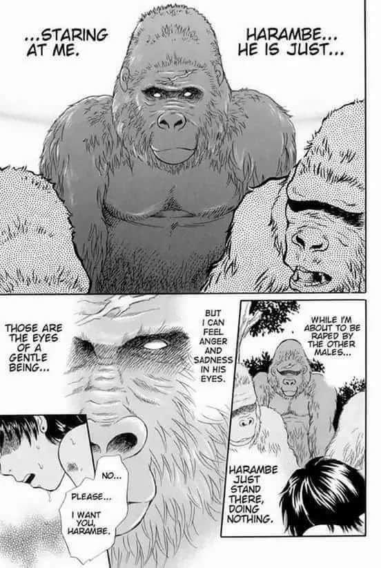 Help me Harambe